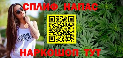гидра Бузулук