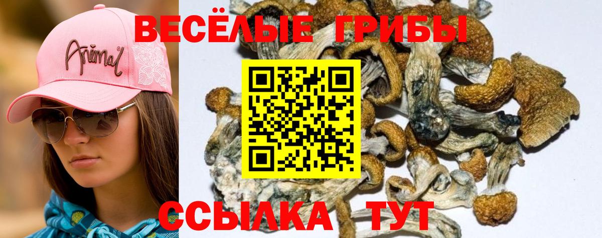 Глазов  Псилоцибиновые грибы Magic Shrooms  Вход с VPN 